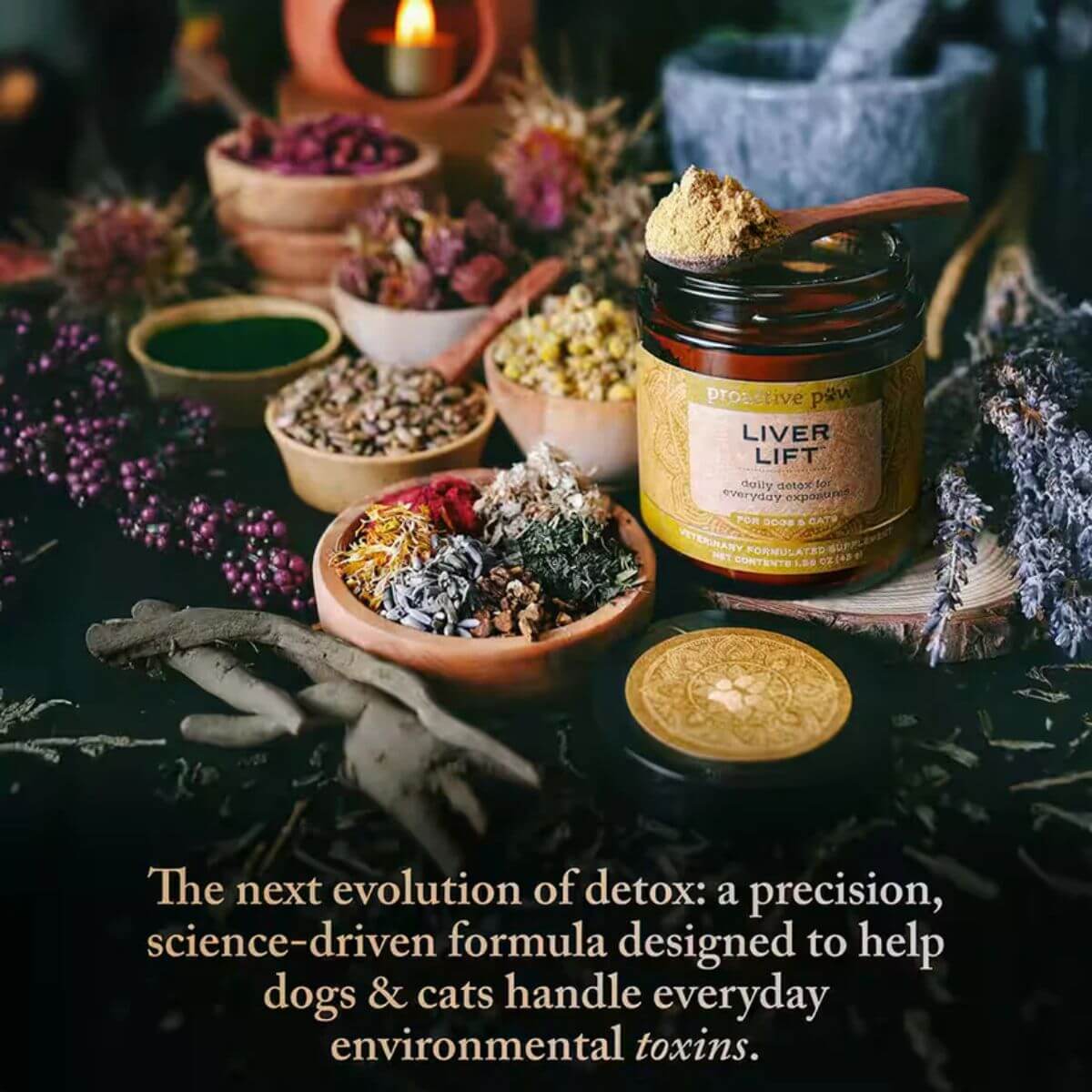 Proactive Paws Liver Lift the next evolution of detox.