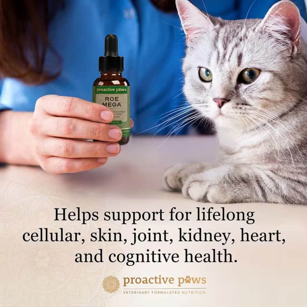 Proactive Paws Roe Mega with a cat.