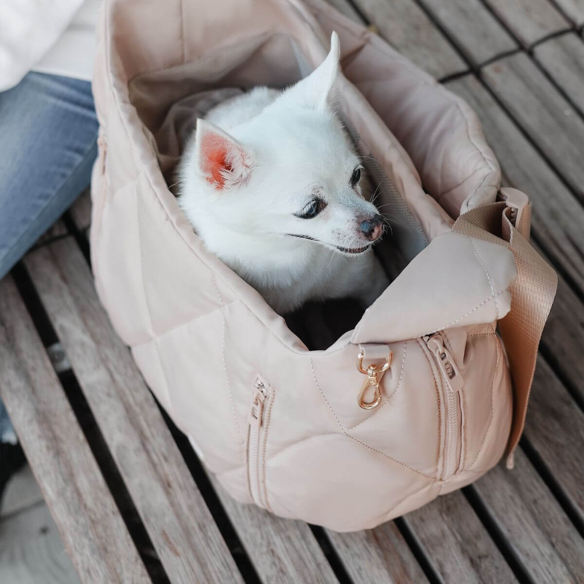 A dog inside the Pups & Bubs Cloud Crossbody Carrier in Latte on a bench.