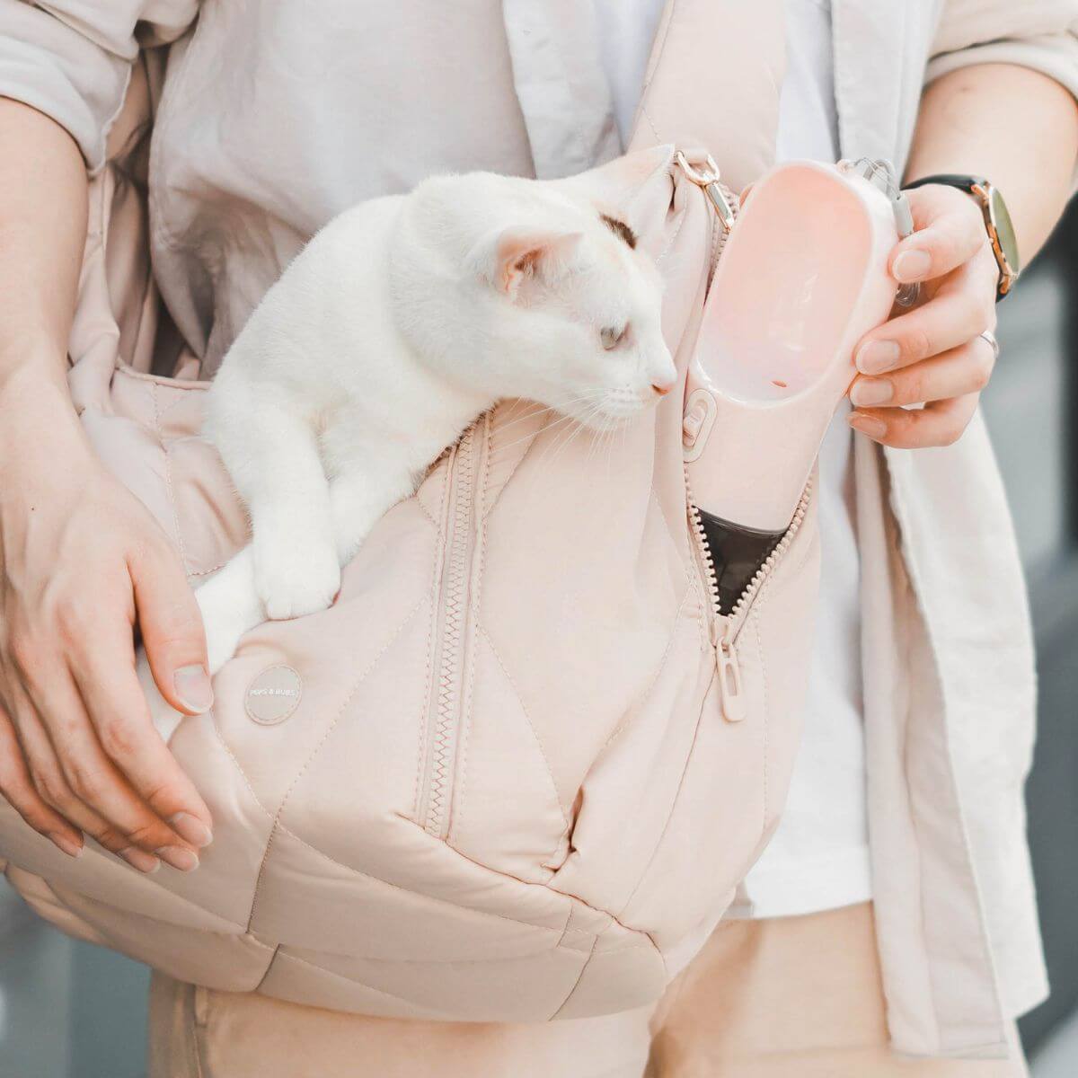 A cat in the Pups & Bubs Cloud Crossbody Carrier in Latte.