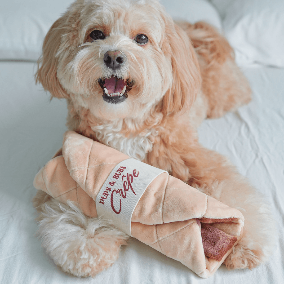 a doodle with the folded pups and bubs fruity delight crepe snuffle mat in front of it.