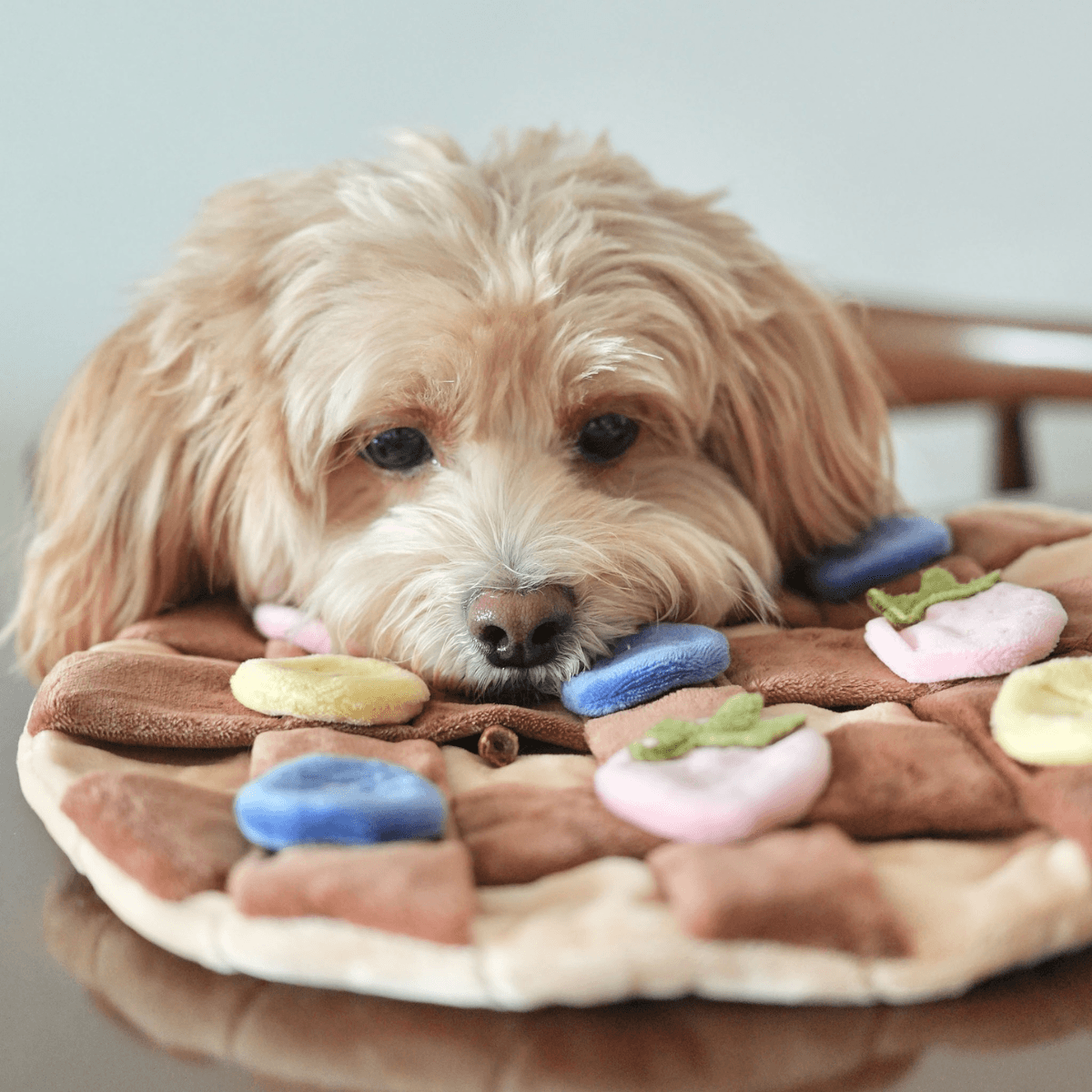 a doodle resting her chin on the pups and bubs fruity delight crepe snuffle mat on the dinner table.