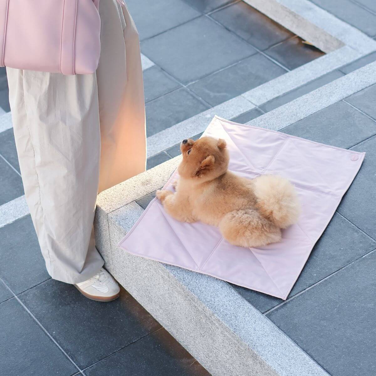 Pups & Bubs Jouir Travel Mat in Rose outdoors.