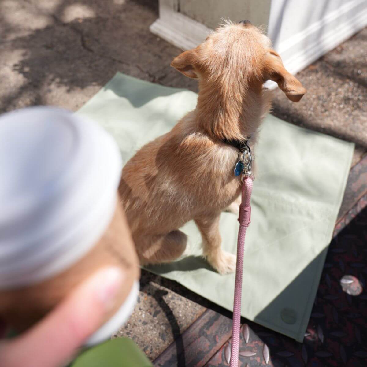 Pups & Bubs Jouir Travel Mat in Sage.