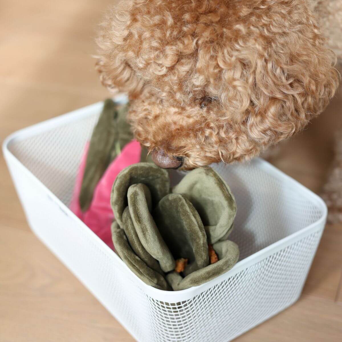Pups & Bubs Snuffle Swiss Chard Nosework Toy in a basket.