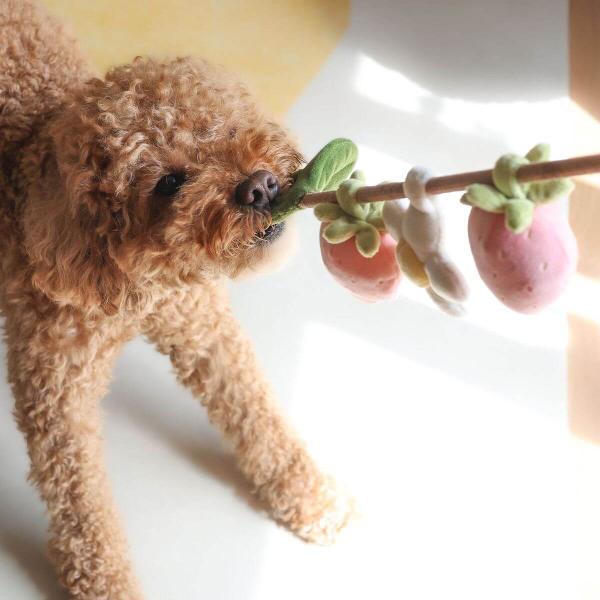 Pups & Bubs Strawberry Vine Rope Toy