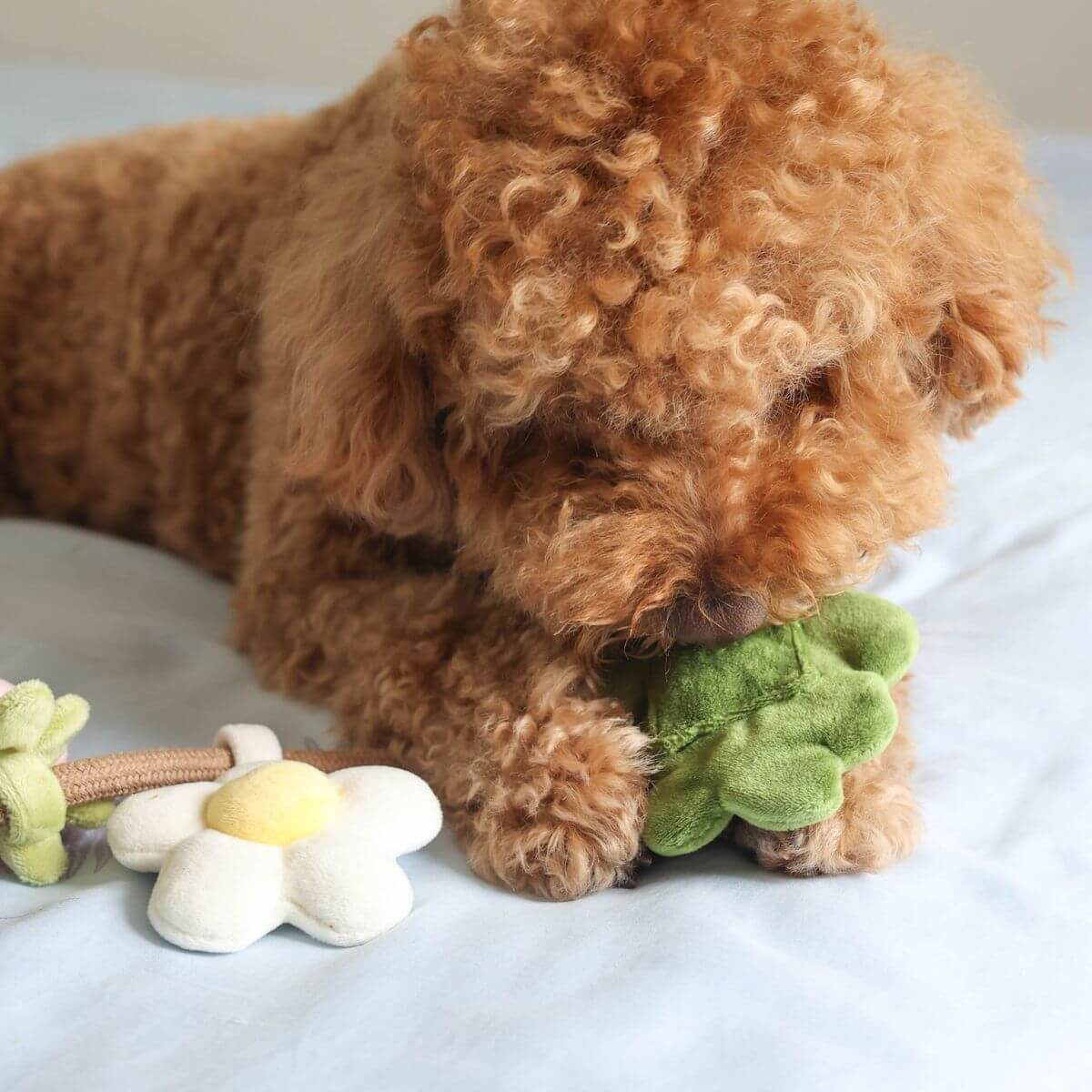 Pups & Bubs Strawberry Vine Rope Toy