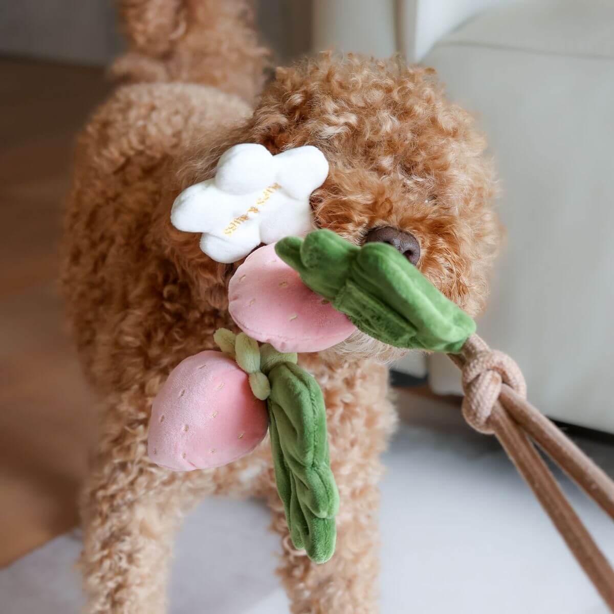 Pups & Bubs Strawberry Vine Rope Toy
