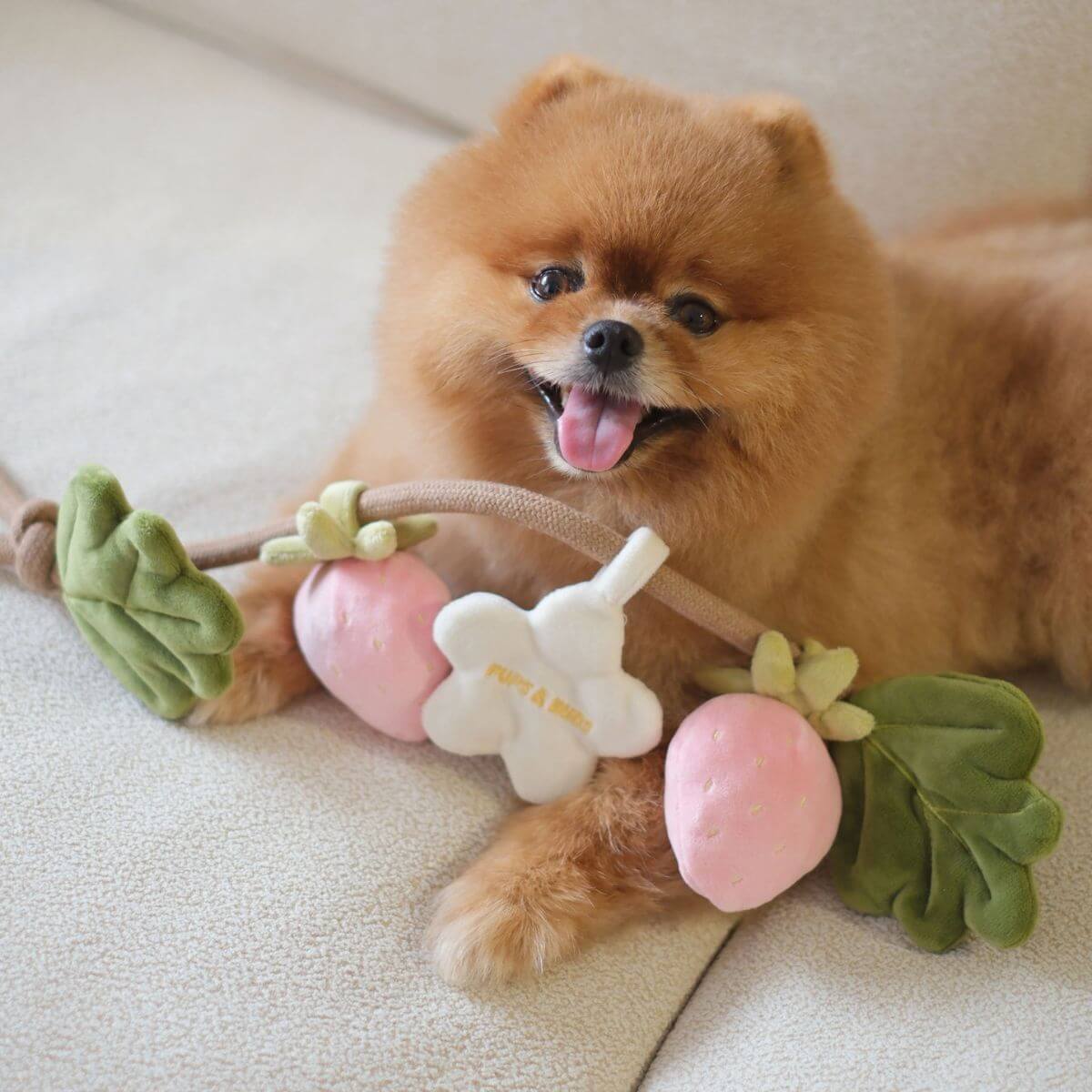 Pups & Bubs Strawberry Vine Rope Toy