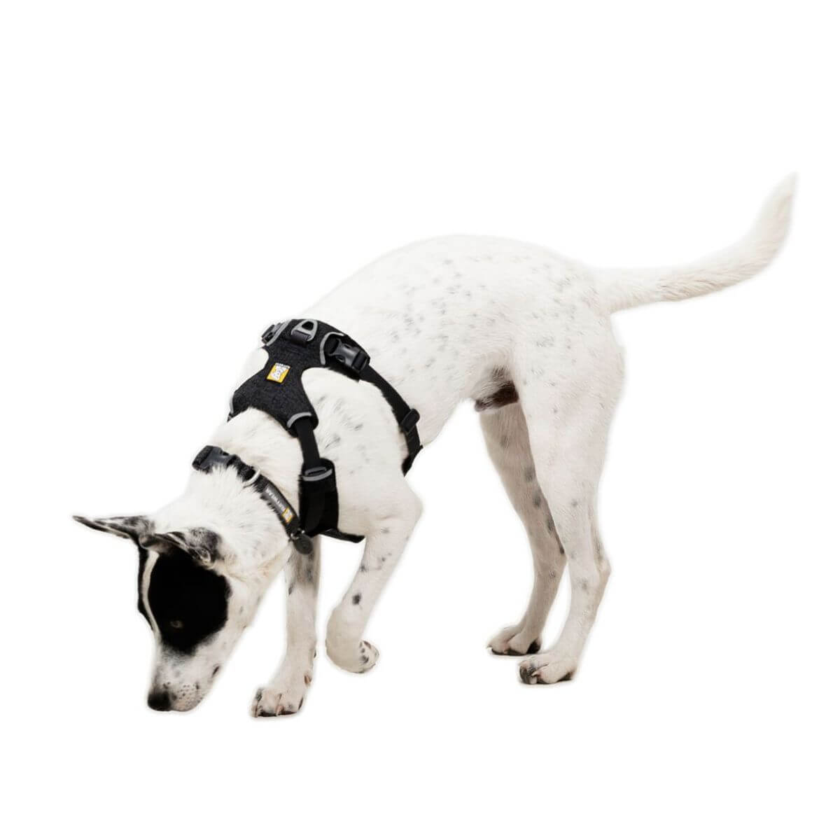 Ruffwear Front Range® Flex Harness