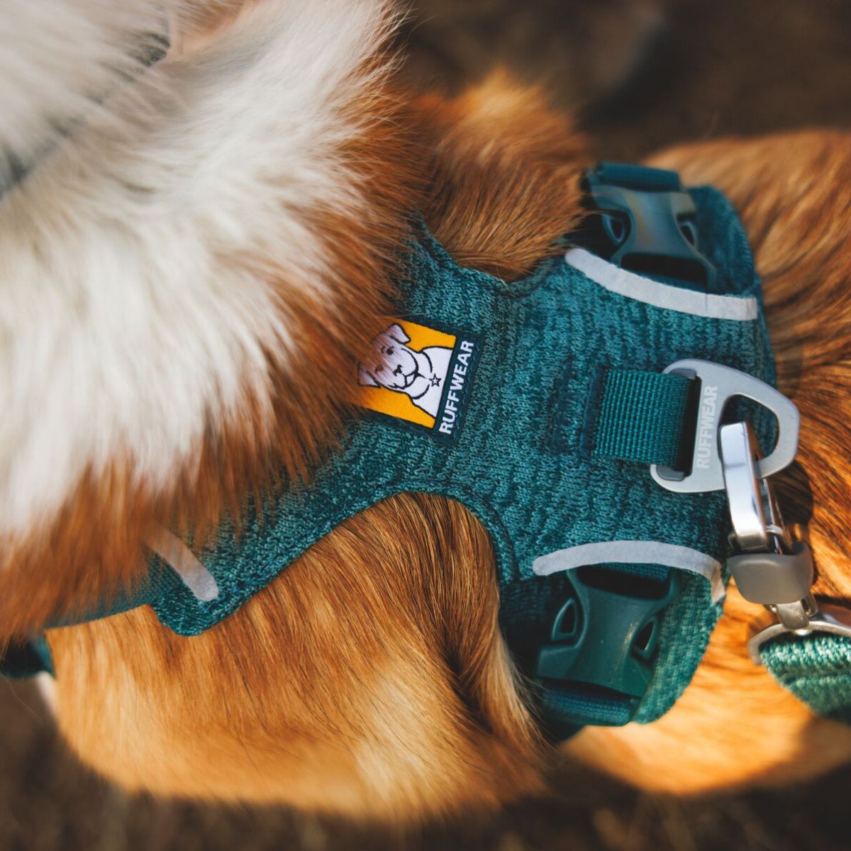 Ruffwear Front Range® Flex Harness