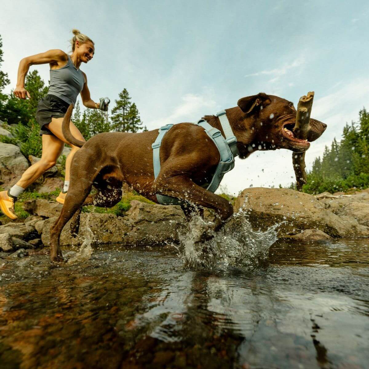 Ruffwear Front Range® Flex Harness