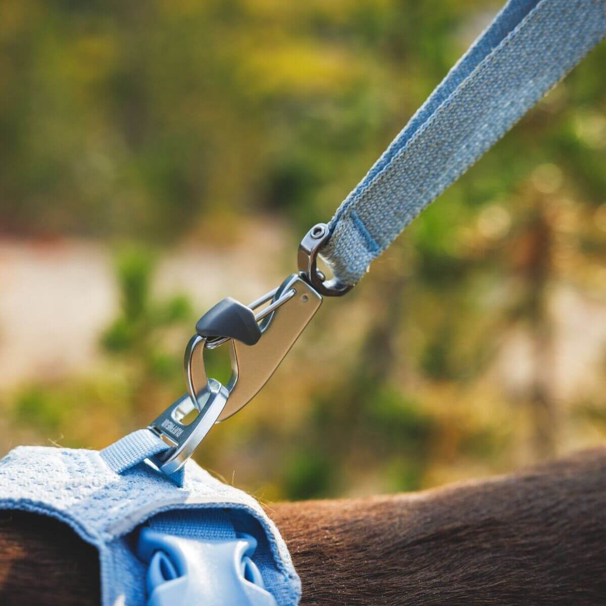 Ruffwear Flex Leash Polar Blue attached to the Flex Harness.