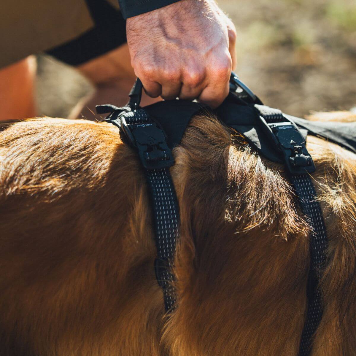 Handle grip on the Ruffwear Ridgeline Harness.