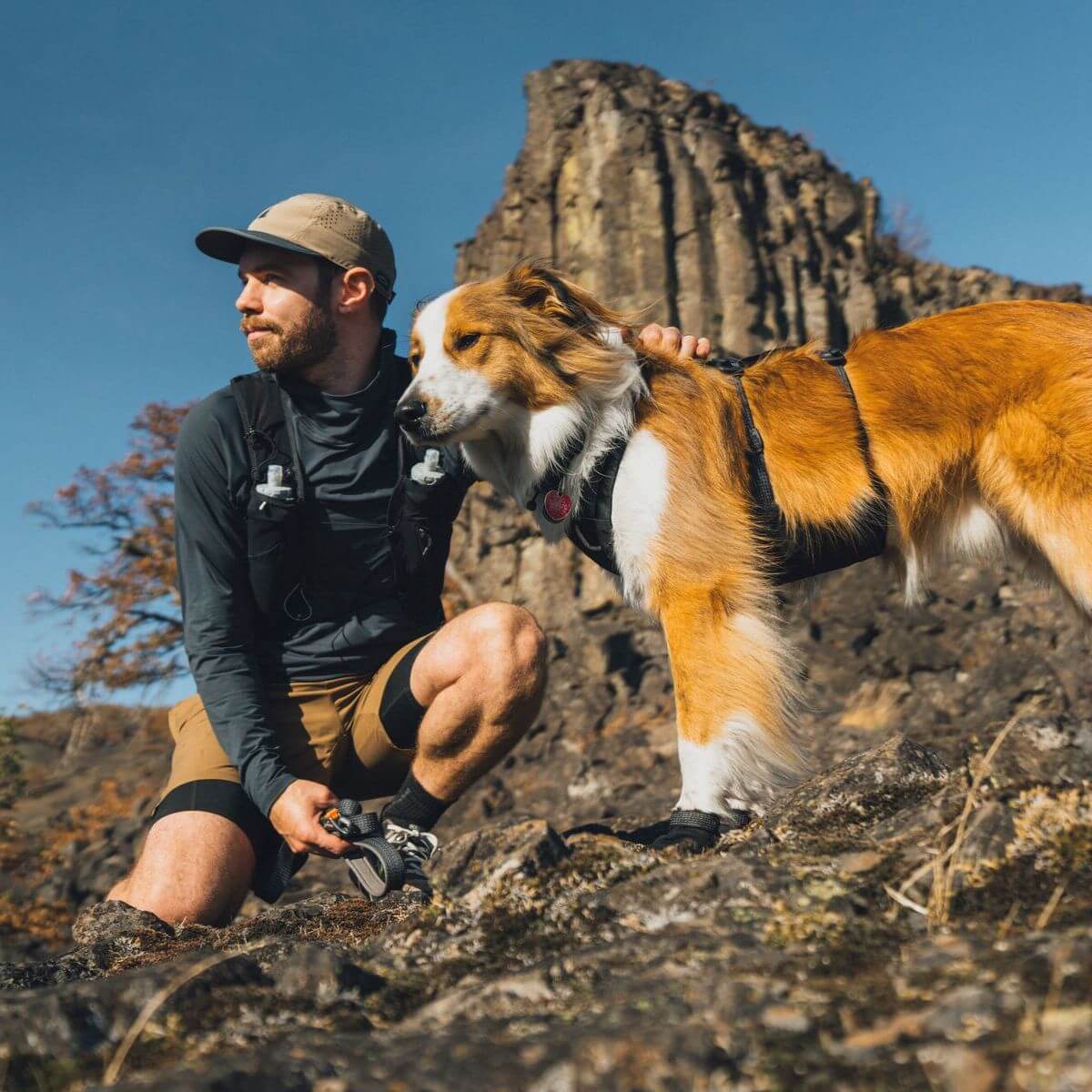 A dog on a hike wearing the Ruffwear Ridgeline Harness.