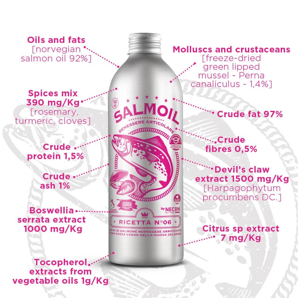 Salmoil Norwegian Salmon Fish Oil | Joint Wellness