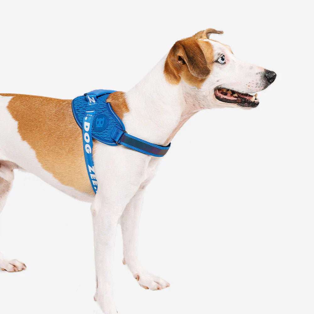 Zee.Dog FlyHarness | Slam Dunk