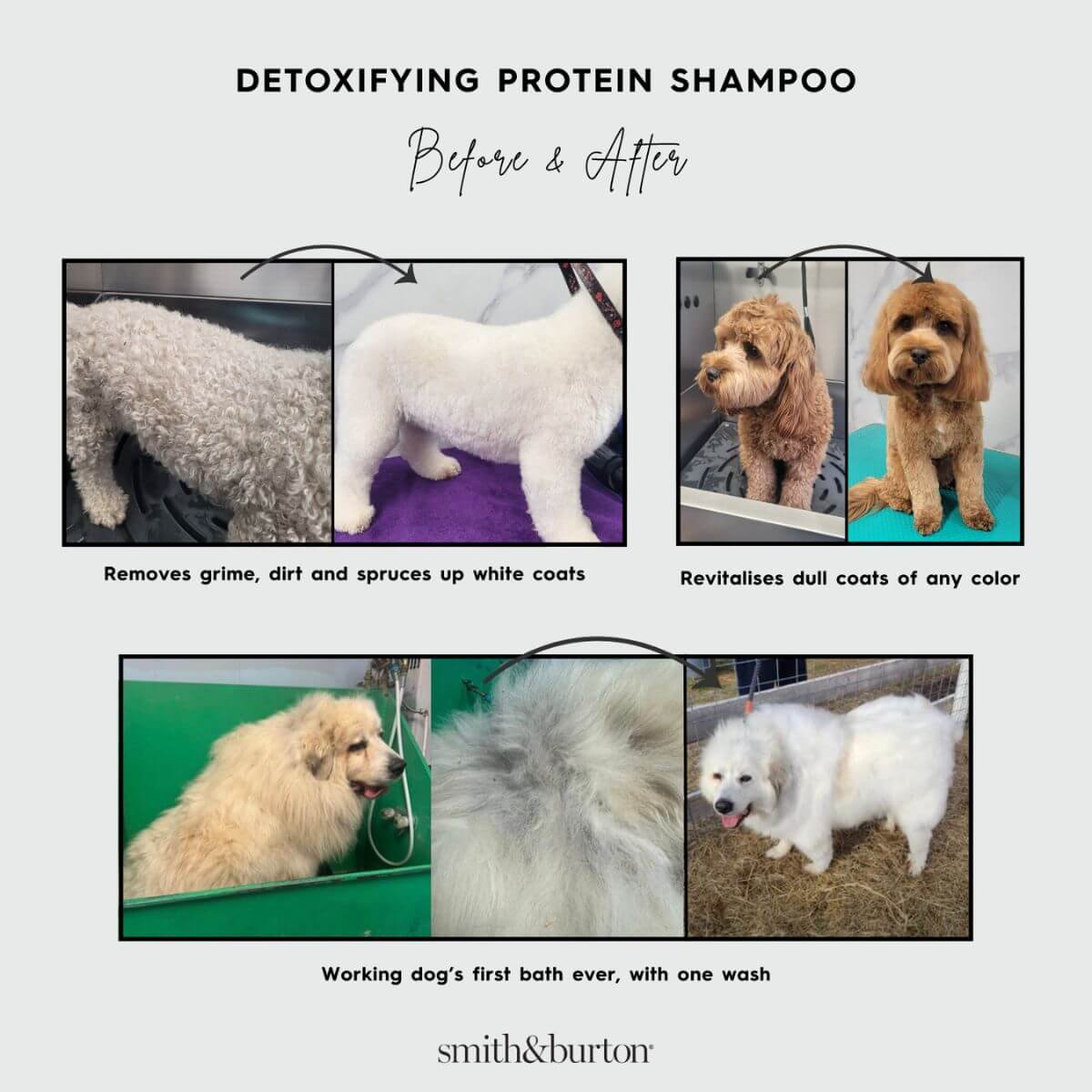 smith&burton detoxifying protein shampoo before and after images.