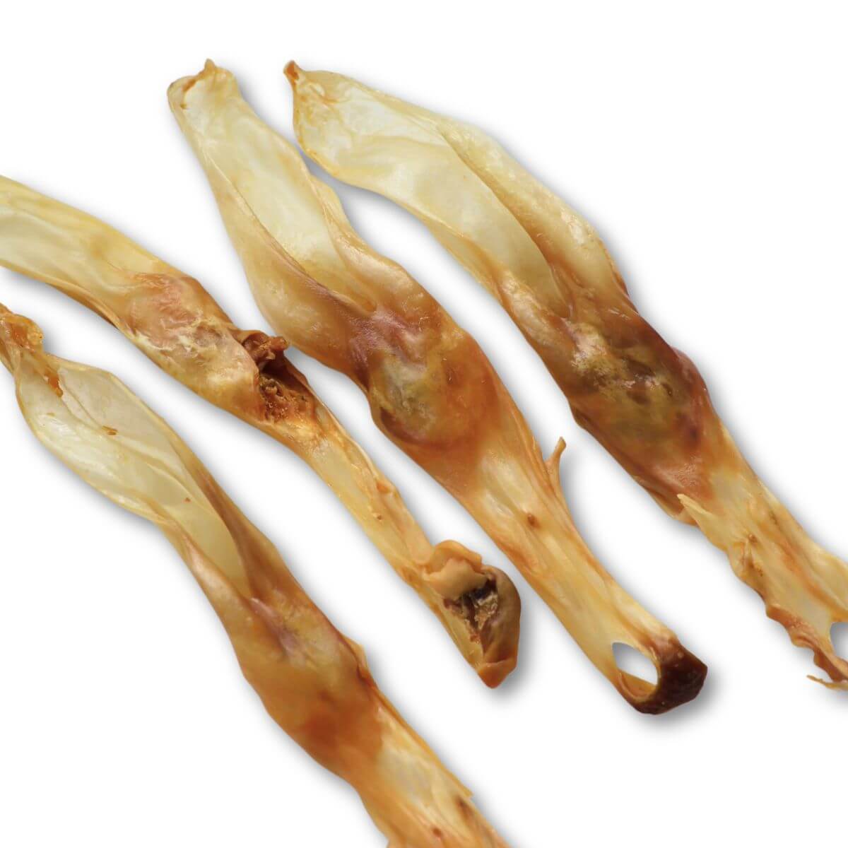 Source-Sage Club Rabbit Ear Without Fur against a white background.