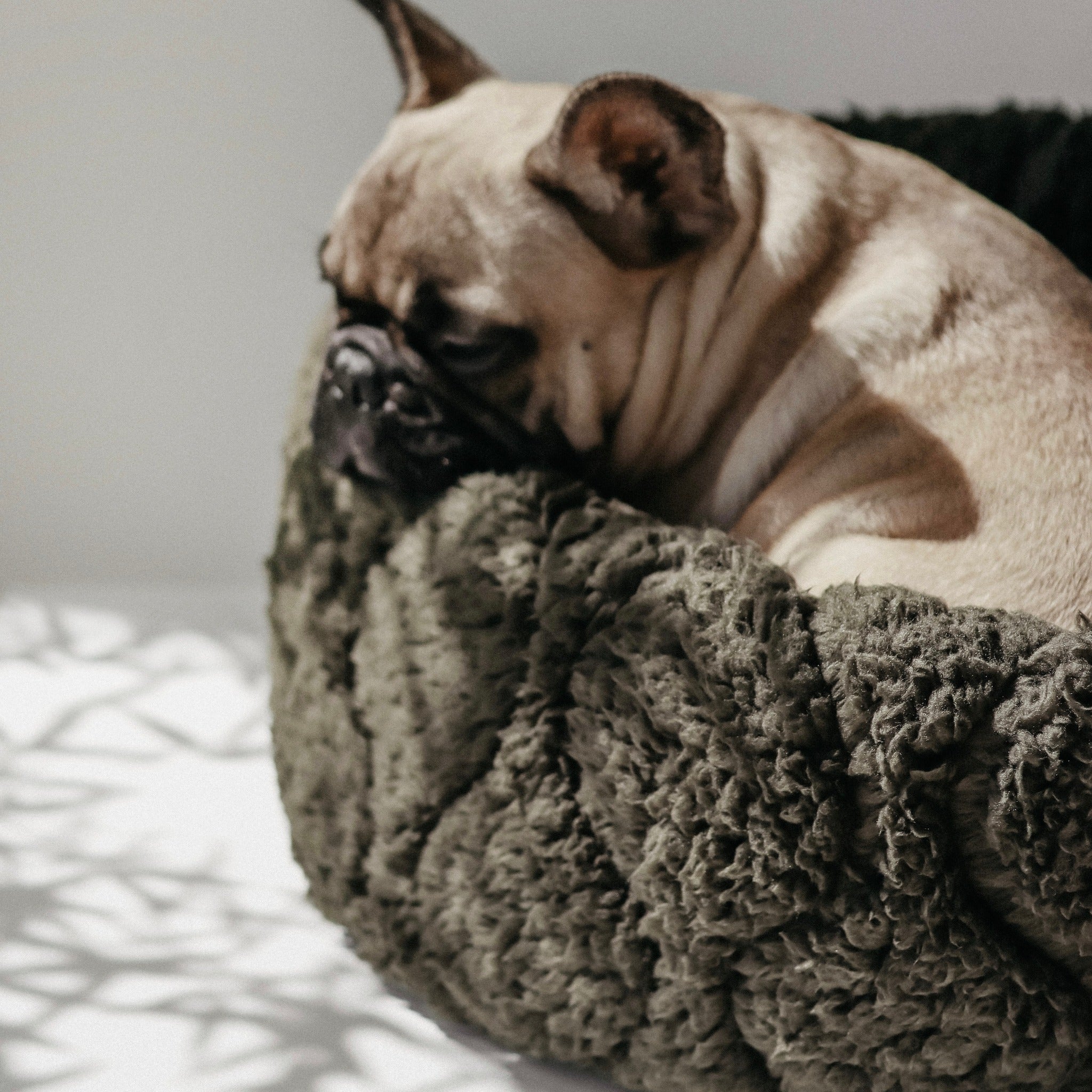 Lambwolf TAART Reversible Donut Bed
