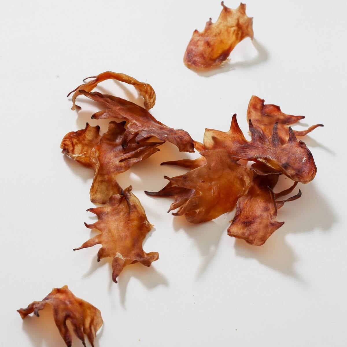 taki pets x naaf chicken cockscomb against a white background.