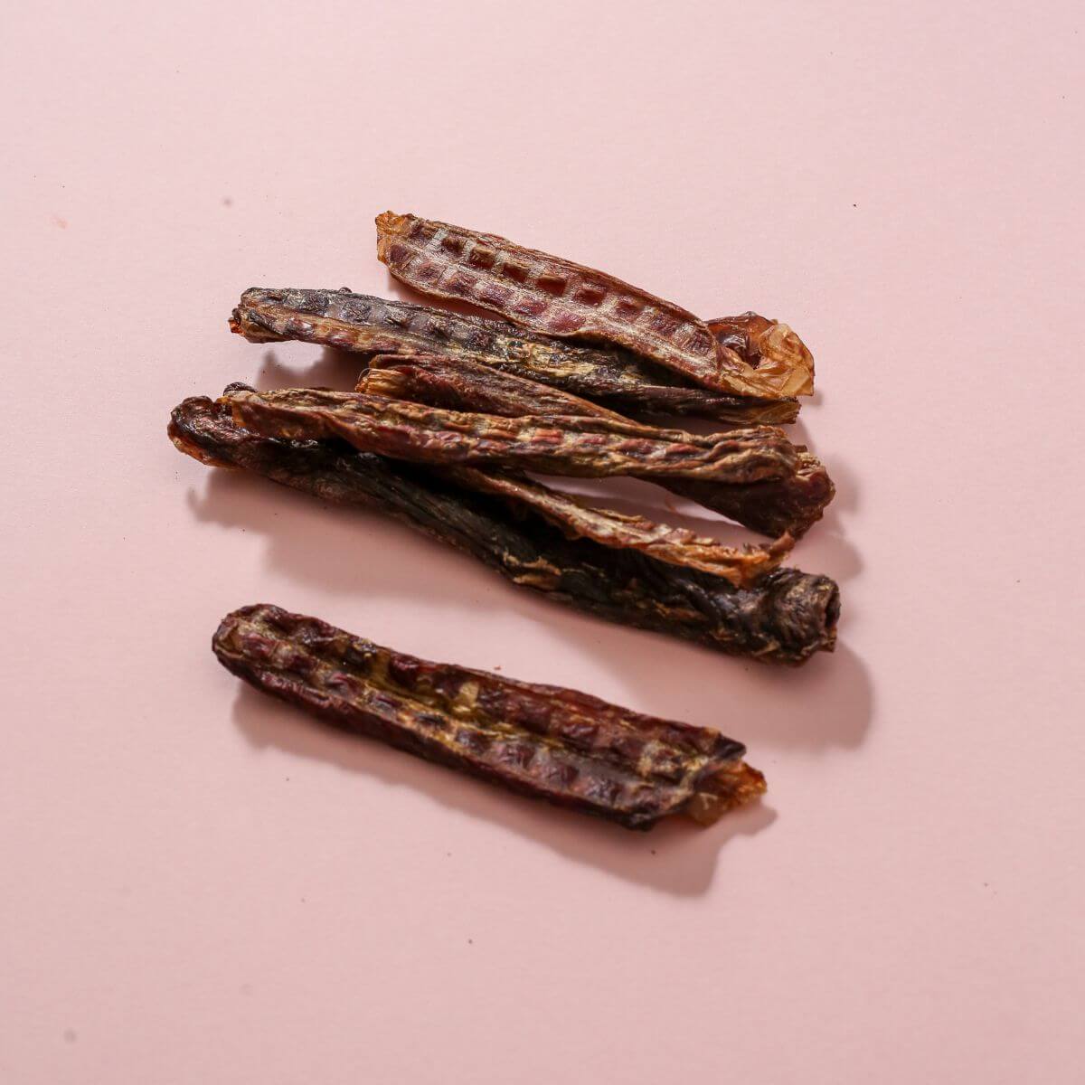 taki pets naaf horse oesophagus against a pink background.