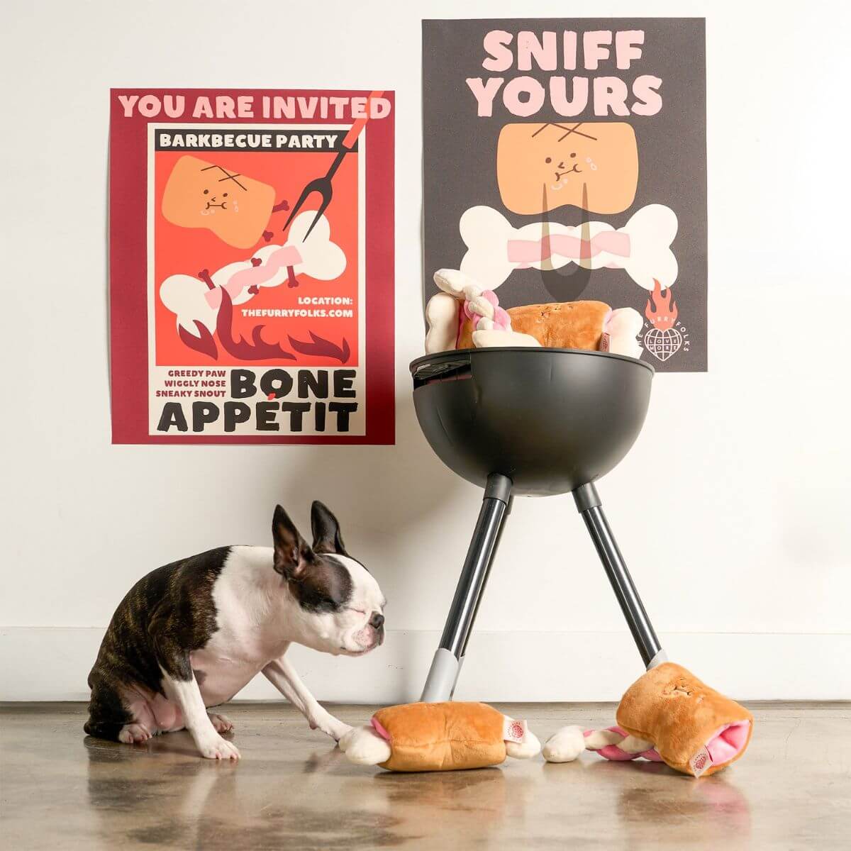 A boston terrier with 2 the furryfolks bone appetit nosework toy. 