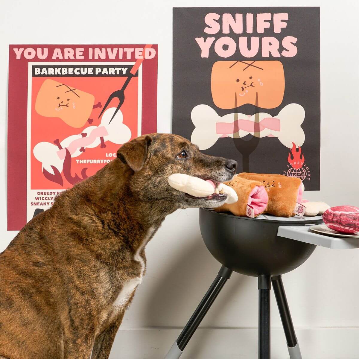 A dog with the furryfolks bone appetit nosework toy. 