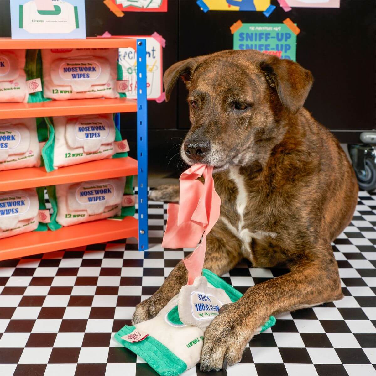 A dog playing with the the furryfolks doggo wipe nosework toy against a supermaket background.