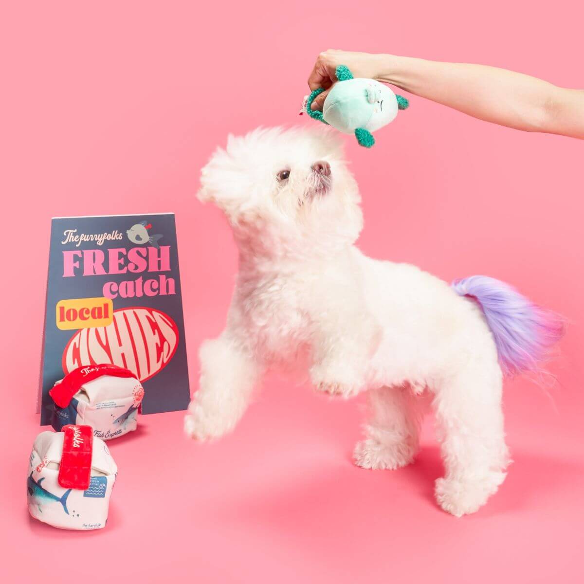A white dog catching the furryfolks fish express nosework toy in mid air.