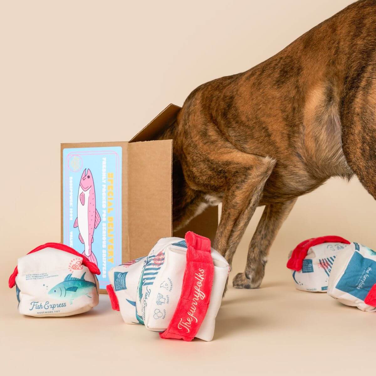 A brown dog with its face buried in the parcel and the furryfolks fish express nosework toy around it.
