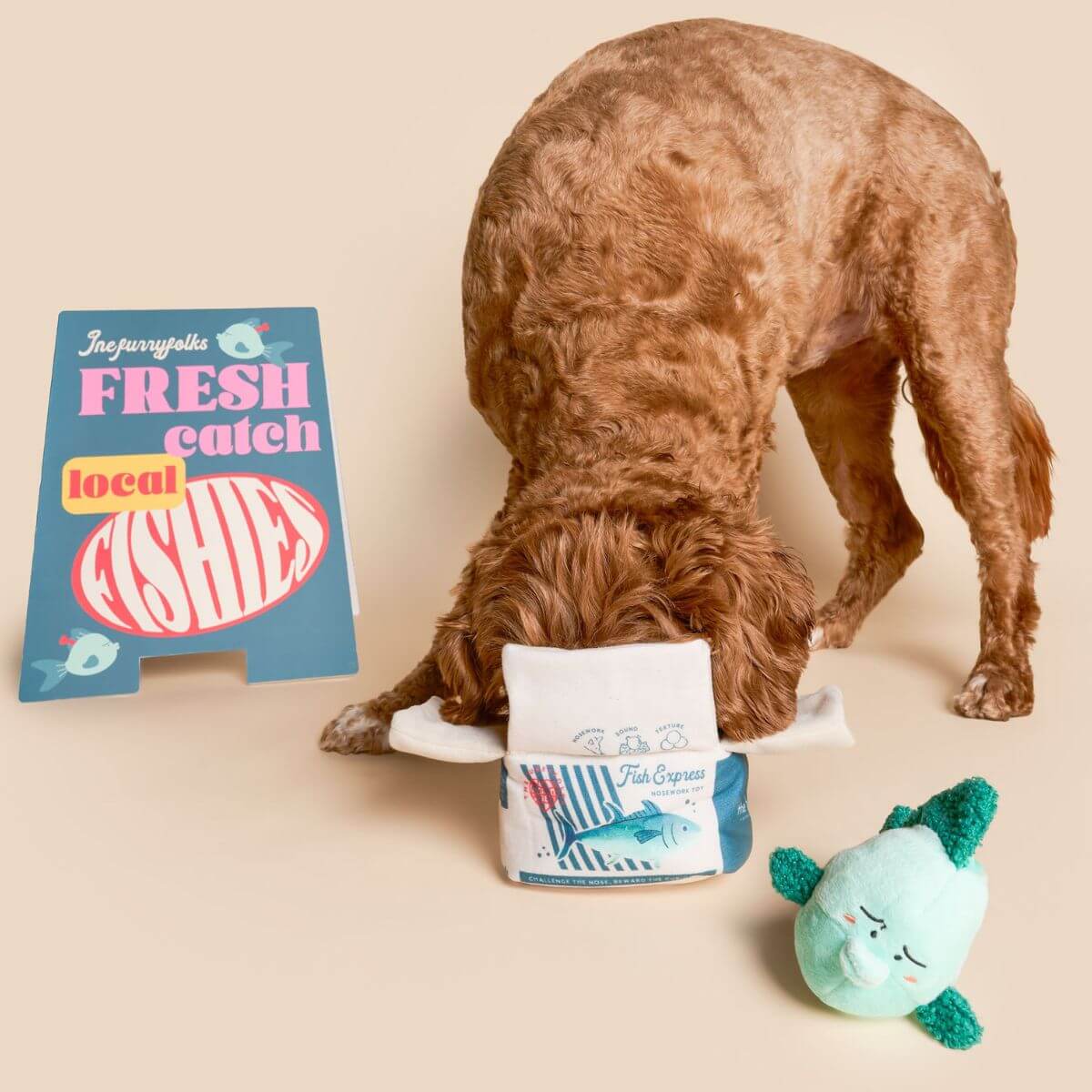  A dog with its nose in the furryfolks fish express nosework toy