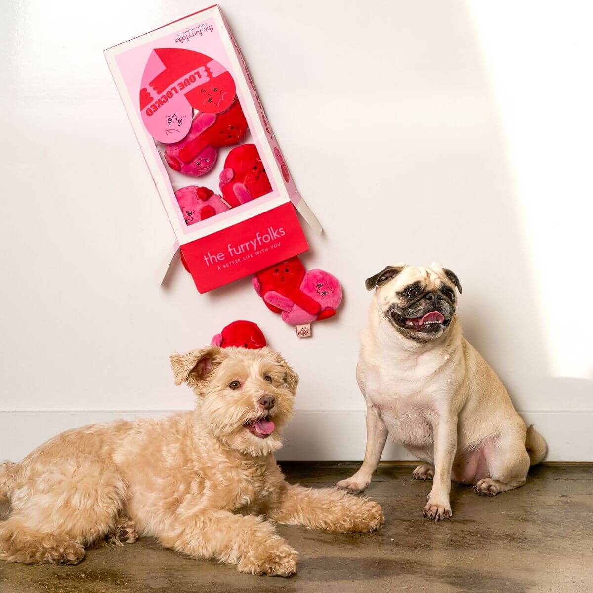A dog and a pug with a pile of the furryfolks love locked nosework toy. 