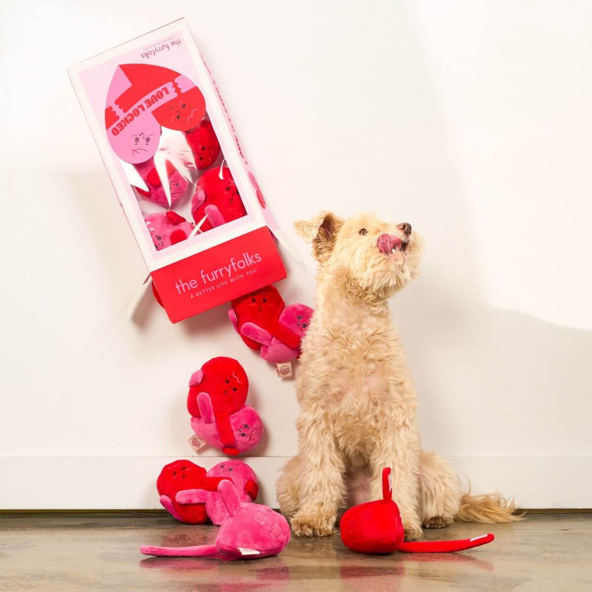 A dog with a pile of the furryfolks love locked nosework toy against a white background.