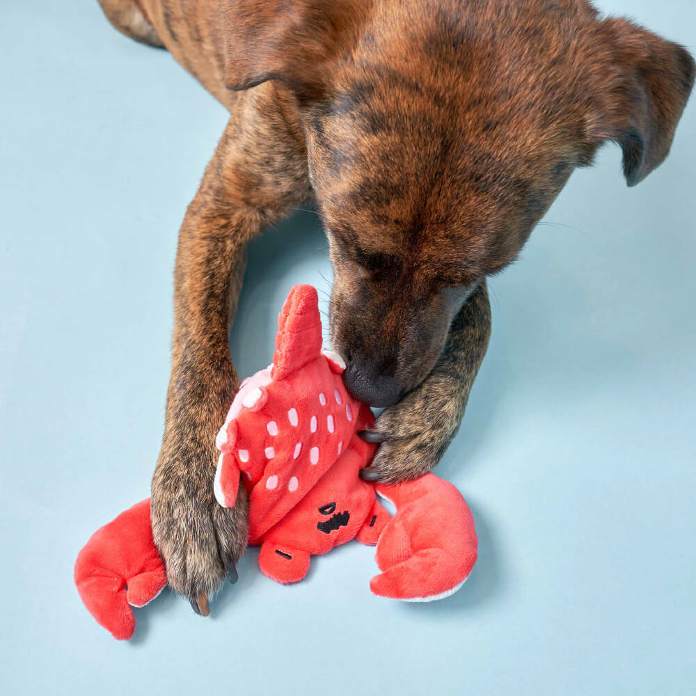 the furryfolks Uncle Crab Nosework Toy