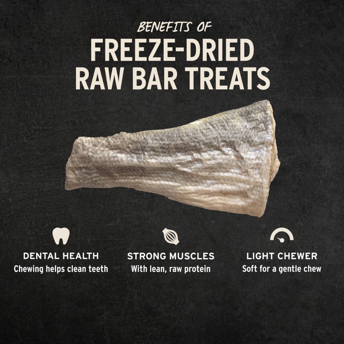 vital essentials raw bar silver carp filet infographic.