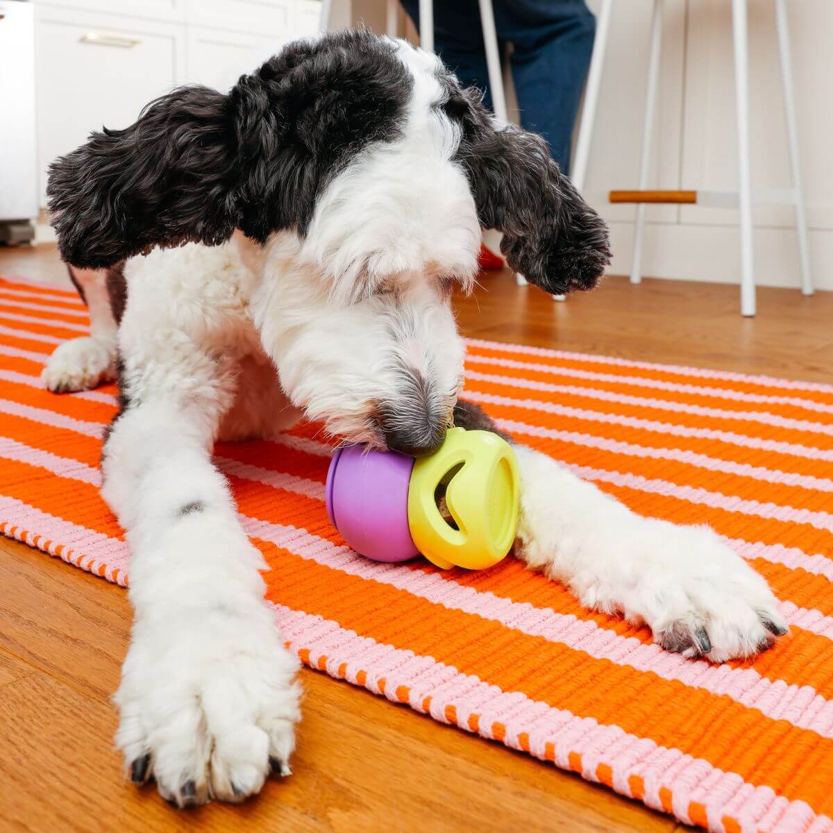 A doodle playing with the waglab playstack modules on a onrage and pink striped carpet.