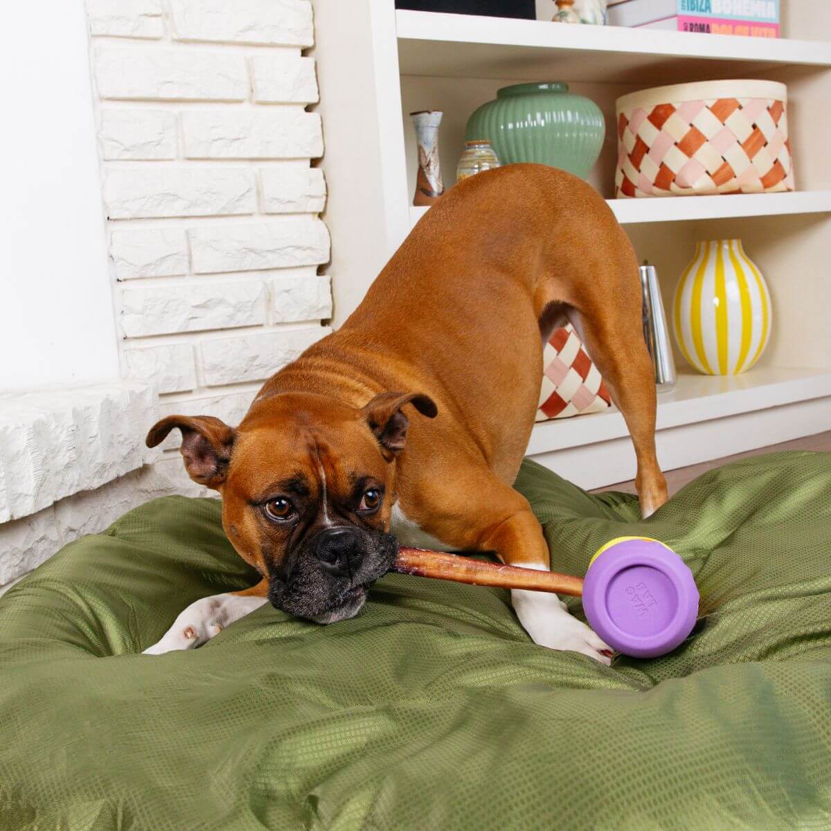waglab playstack the bully against a white background.