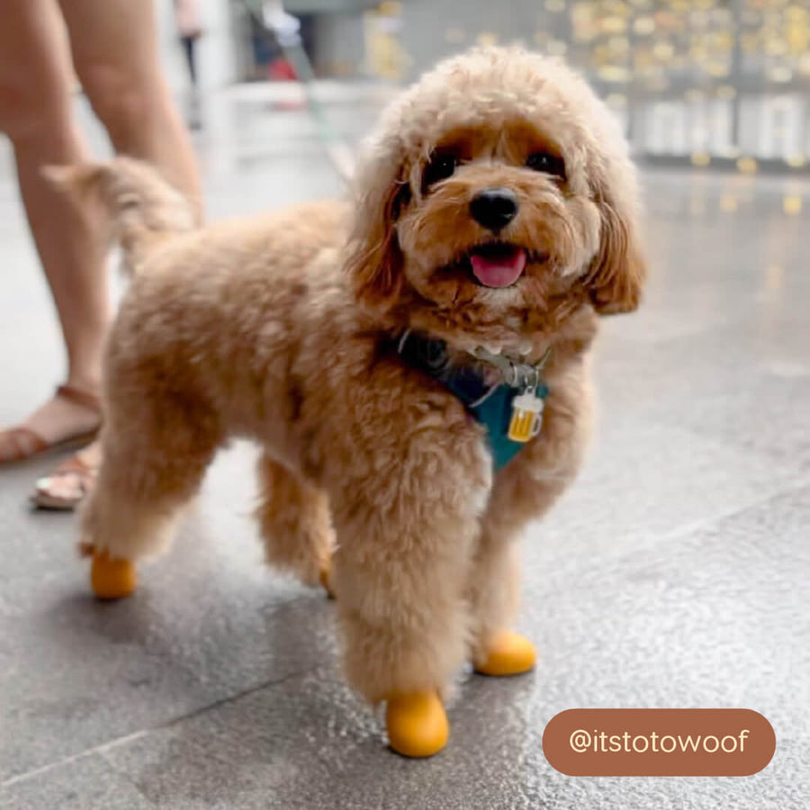 Wagwear WagWellies® Dog Boots