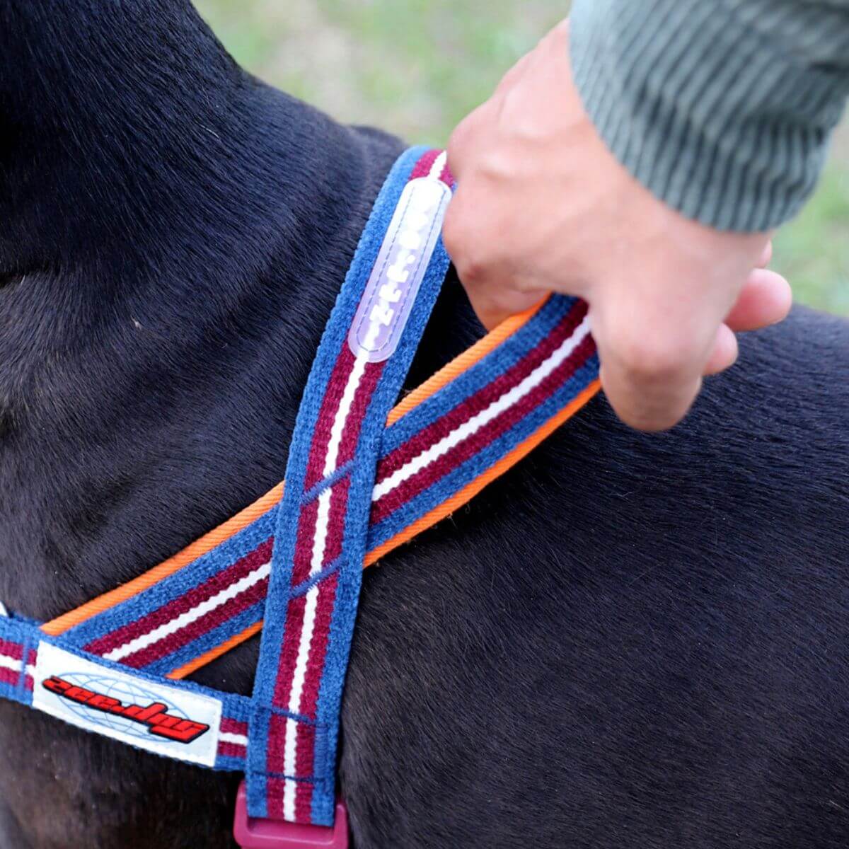 zee.dog softer walk harness velvet vibes in dropout. 