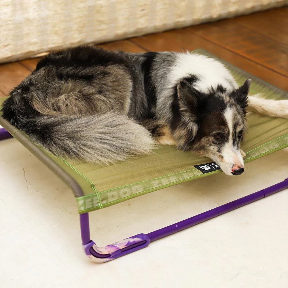 Zee.Dog Air.Bed | Green