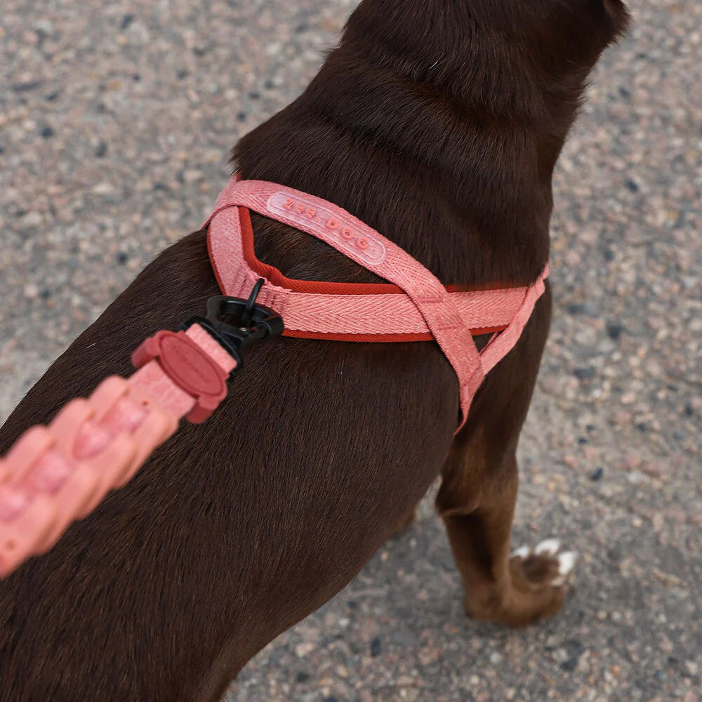 Zee Dog Softer Walk Harness | Canyon