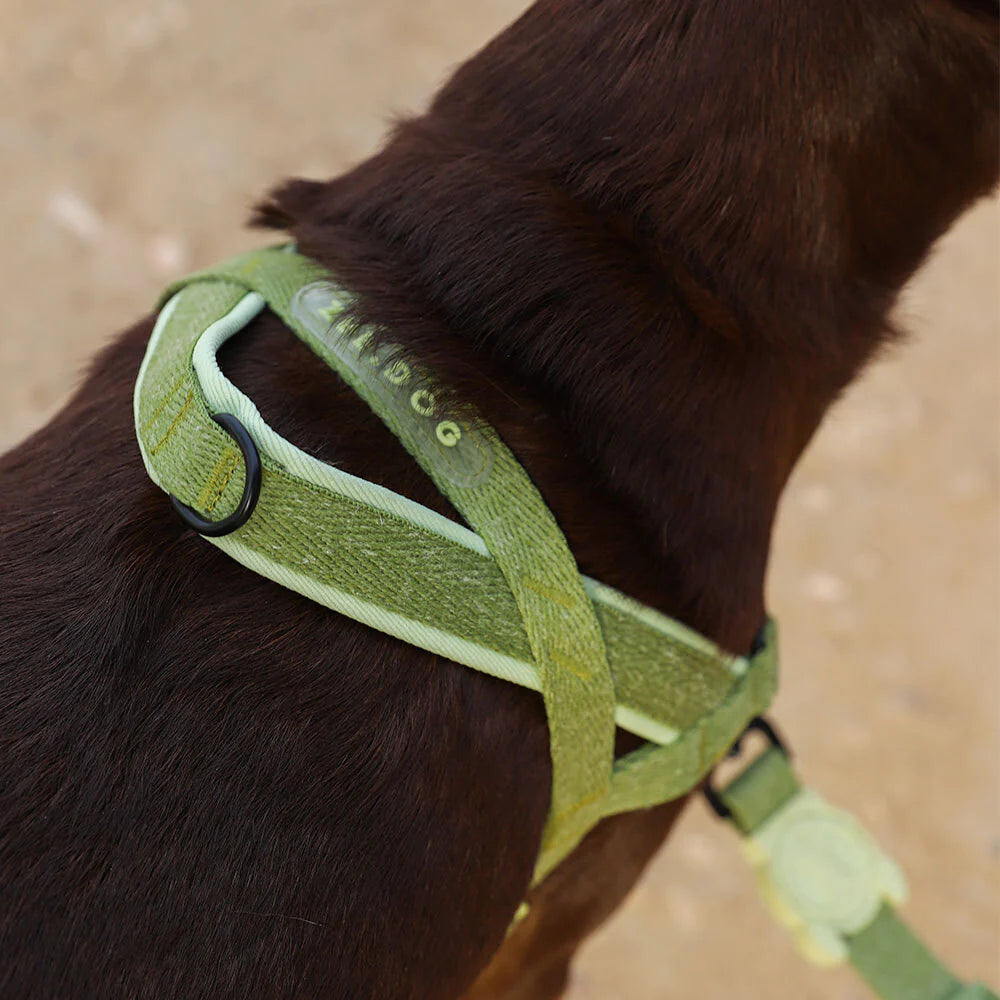 Zee Dog Softer Walk Harness | Moss