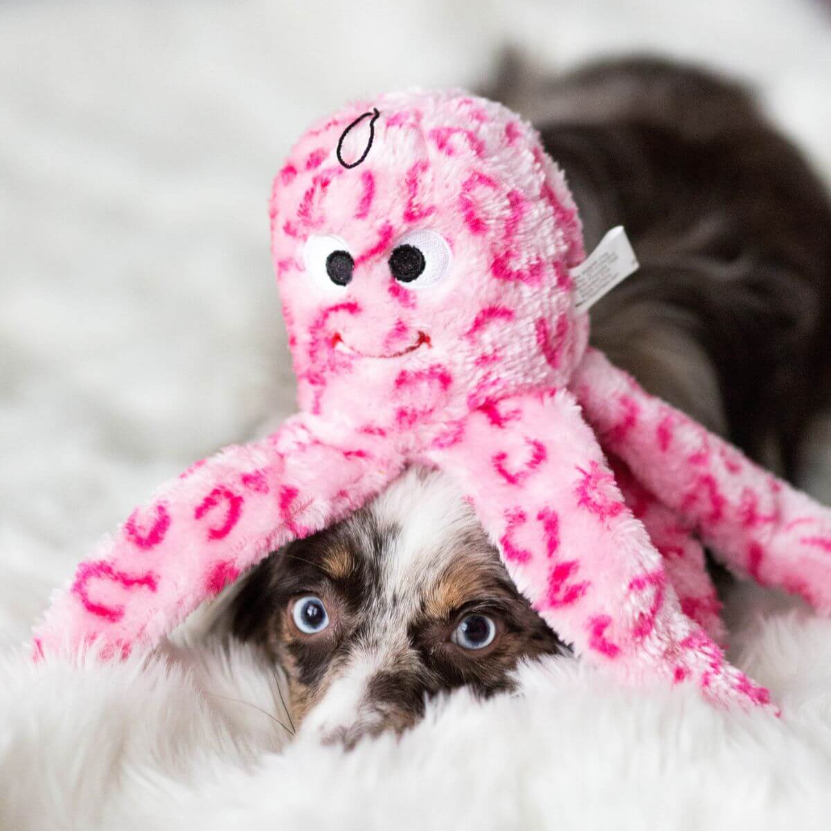 A dog hidden under the ZippyPaws Floppy Jelly. 