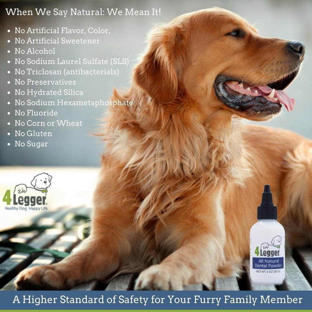 4-Legger Natural Dental Salt - Vanillapup Online Pet Store