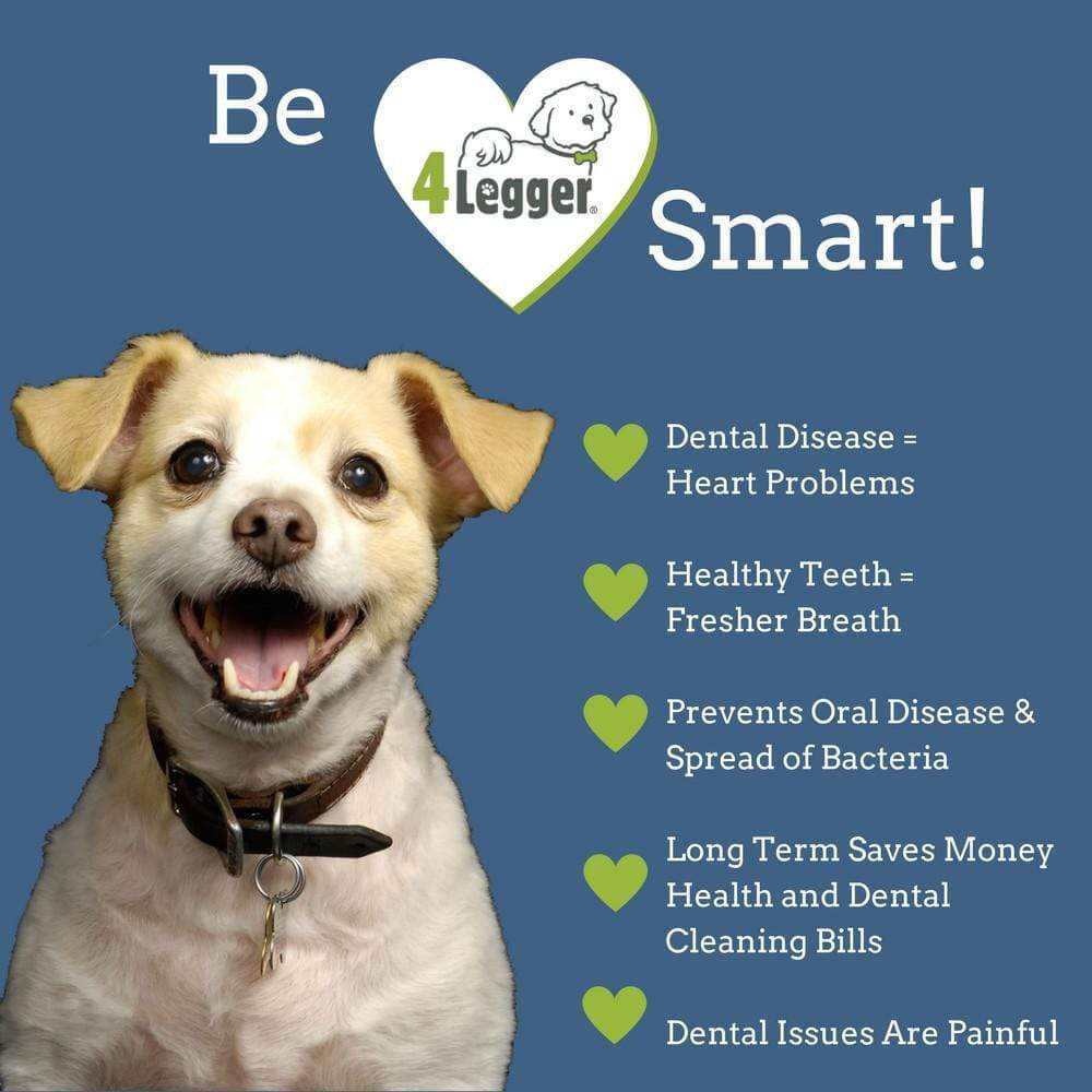4-Legger Natural Dental Salt - Vanillapup Online Pet Store