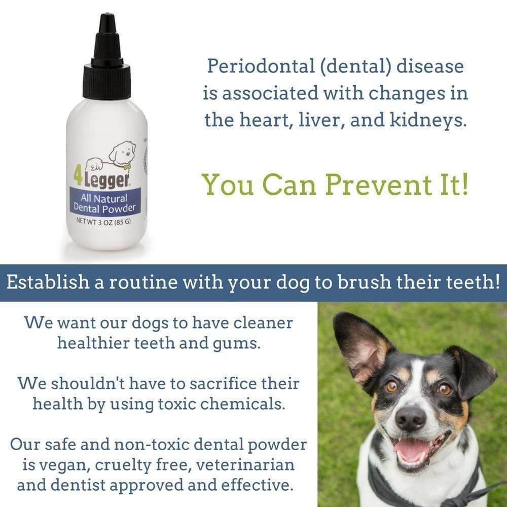 4-Legger Natural Dental Salt - Vanillapup Online Pet Store