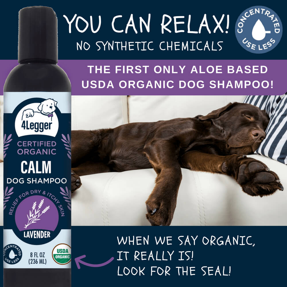 4-Legger USDA Certified Organic Calming Shampoo | Lavender - Vanillapup Online Pet Store