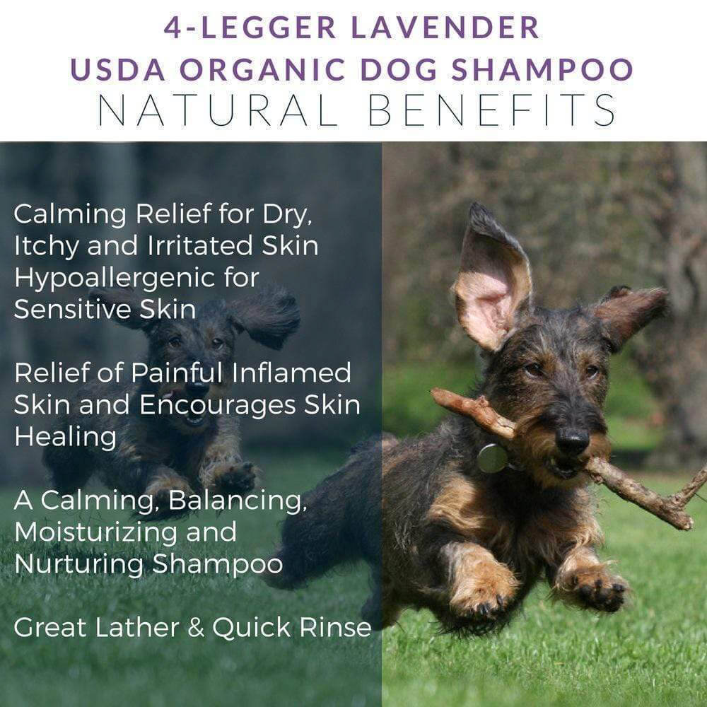 4-Legger USDA Certified Organic Calming Shampoo | Lavender - Vanillapup Online Pet Store