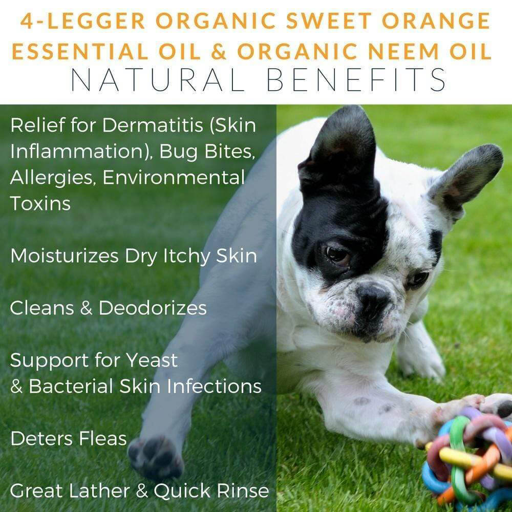 4-Legger USDA Certified Organic Revitalising Shampoo | Orange Neem - Vanillapup Online Pet Store
